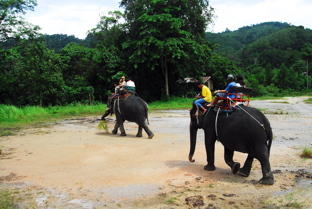 Elephant Trekking Thailand